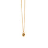 The Lion in Africa Gold Disc Necklace