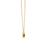The Lion Gold Tag Necklace